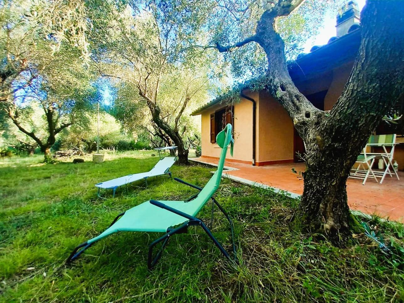 All'Ombra Degli Olivi Pisciarelli Exterior photo